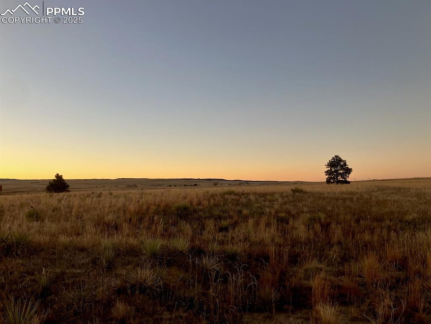 23450 Fastbrook Ln, Calhan, CO 80808 - photo 1