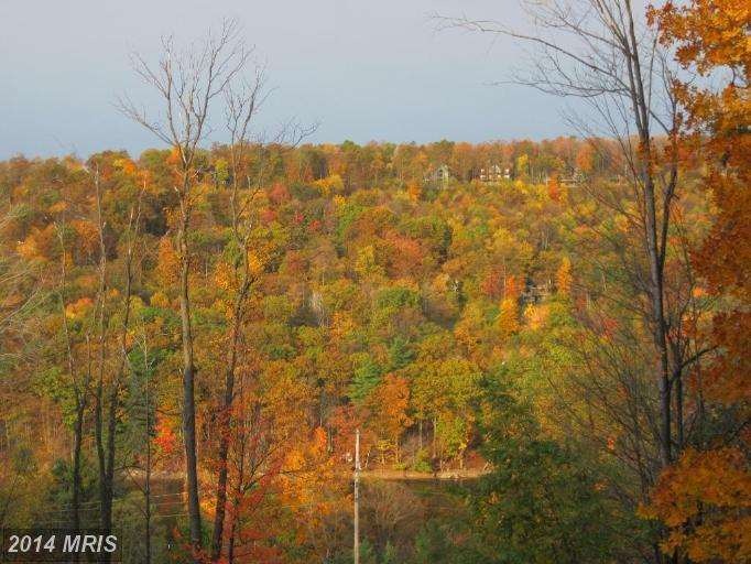 0 Cherry Heights Ln unit 1003019804, Mc Henry, MD 21541 - photo 1