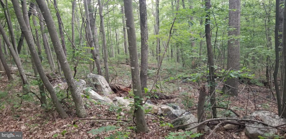 0 Unknown unit VASH119914, New Market, VA 22844 - photo 1