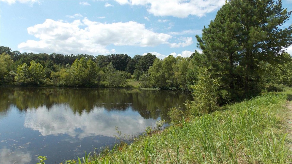 0 County Road 422, Epps Township, MO 63901 - photo 1