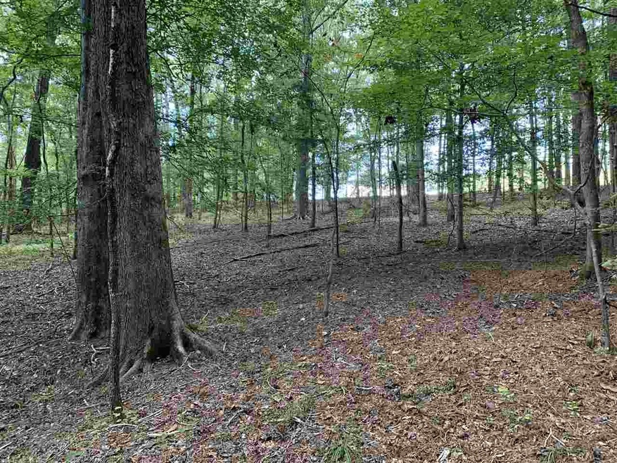 001 Pilgrim Rest Dr, Brandon, MS 39042 - photo 1