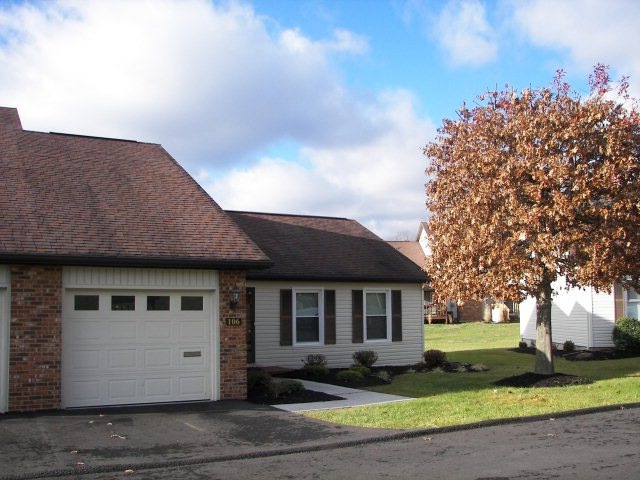 Main View