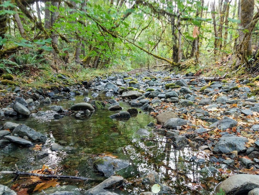 Creek