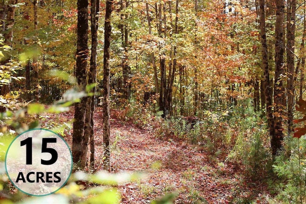 ROW Daniels Farm Rd, Waterford, VT 05819 - photo 1