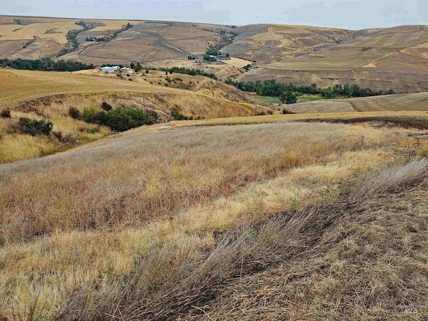 TBD Sander Grade Parcel 2, Lapwai, ID 83540 MLS 98888505