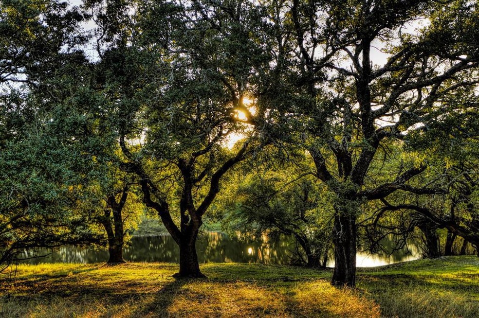 15016 Golf Dr, Whitney, TX 76692 - photo 1