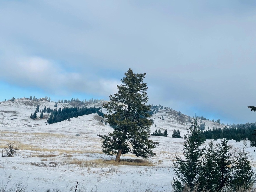 181 Bison Circle Dr, Kalispell, MT 59901 - photo 1