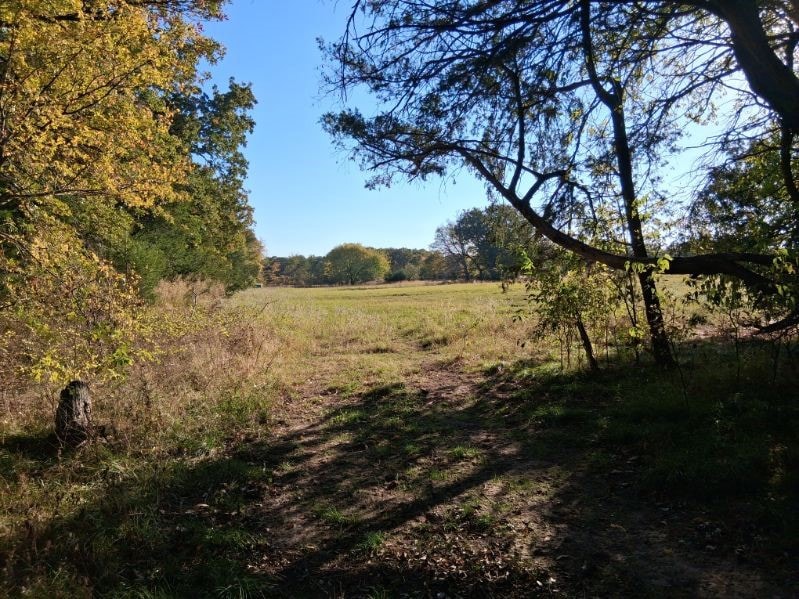 1071 Cr 2205, Ivanhoe, TX 75447 - photo 1