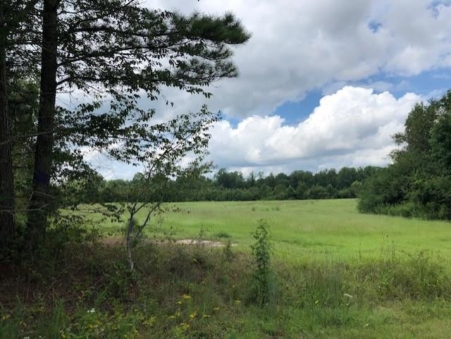 10.487 Brewer Rd, Louisburg, NC 27549 - photo 1