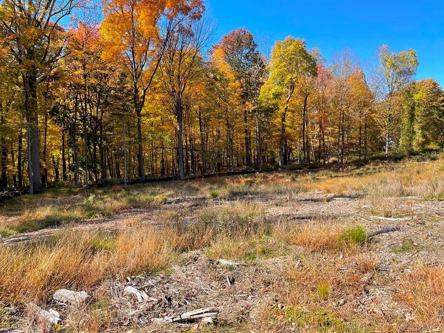 535 Jerome Rd, Yorktown Heights, NY 10598 - photo 1