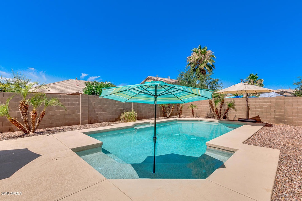 Your NEW Pool!