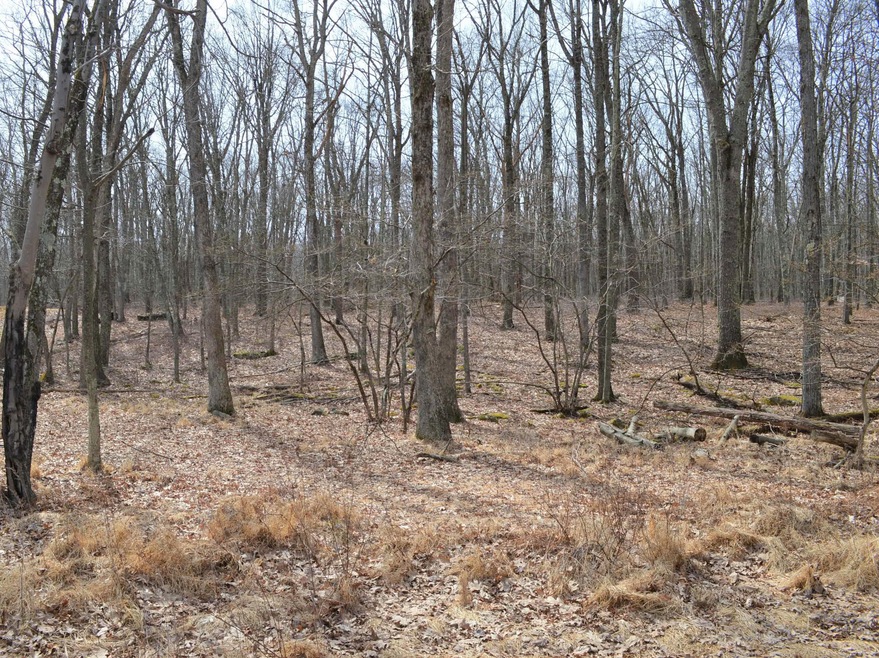 147 Lakeview Cir, Lackawaxen Township, PA 18428 - photo 1