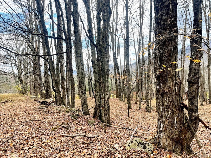 Sold $149,000 • Co-Listing Agent