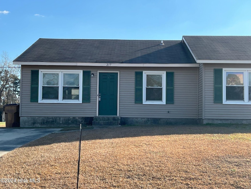 217 Appaloosa Dr, Jacksonville, NC 28540 - photo 1