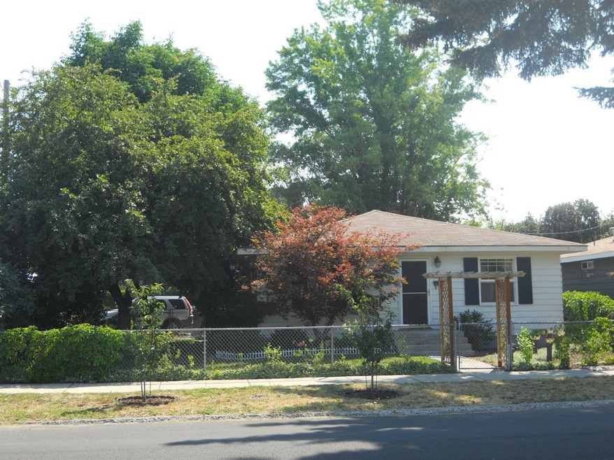 Primary Photo