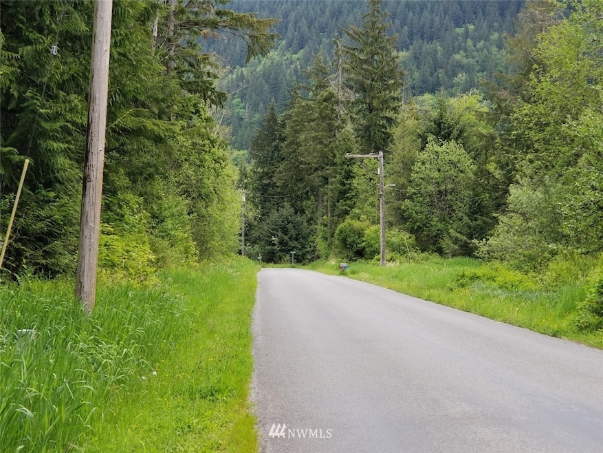 21 xxx Lake Riley Rd, Arlington, WA 98223 - photo 1