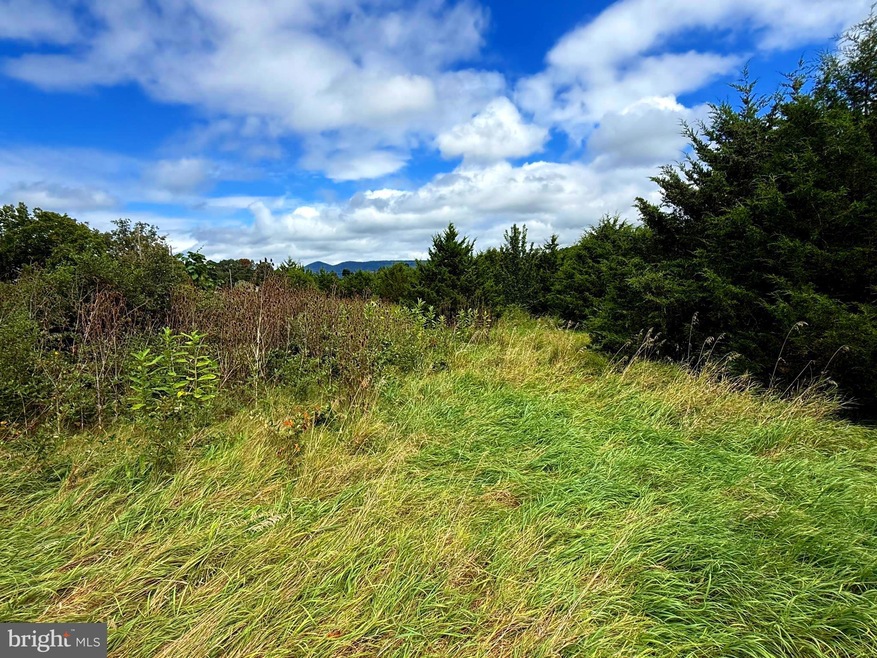 425 Wisteria Ln, Old Fields, WV 26845 - photo 1