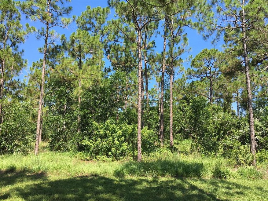 47th Ct N.  Vacant Land