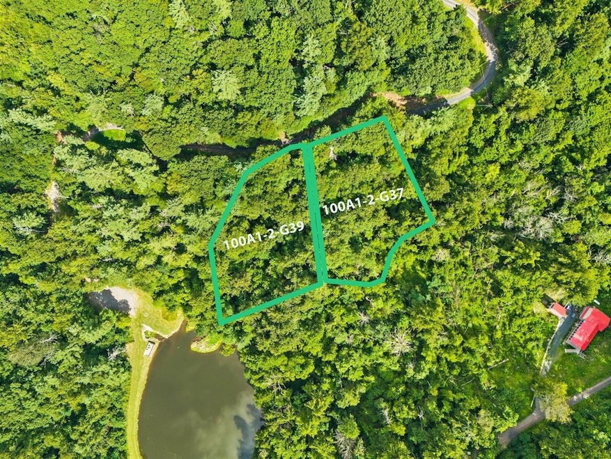 Lots G37 & G39 Lake Rd, Stanley, VA 22851 - photo 1