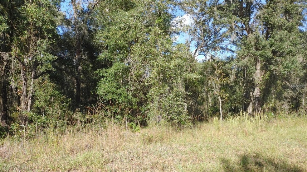 TBD (Lot 32) SW 30th Ave, Ocala, FL 34473 - photo 1