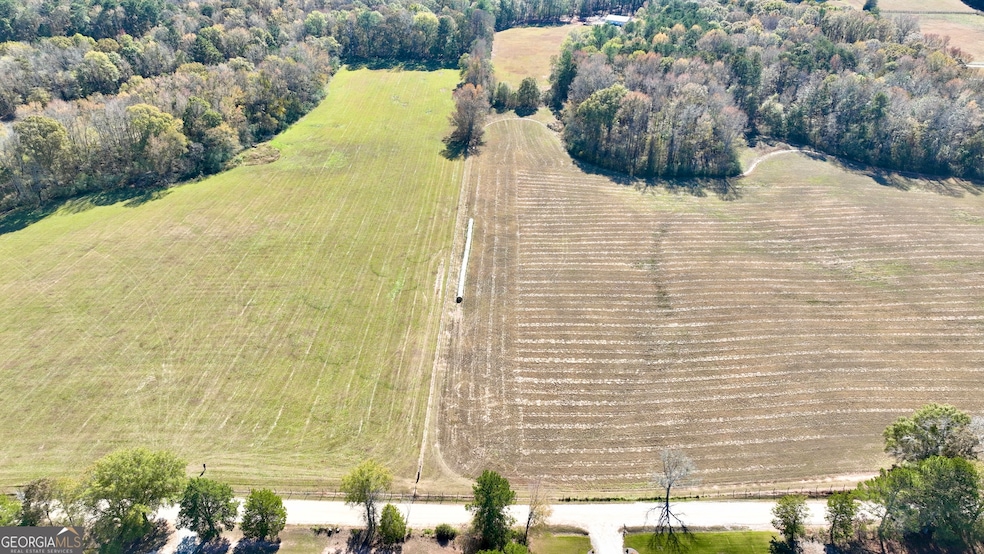 LOT 4 Mask Road - Hanner's Farm S, Brooks, GA 30205 - photo 1