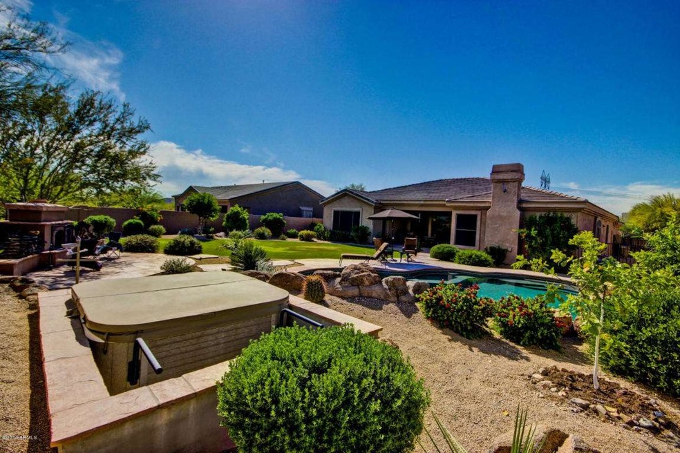 Oasis in the Desert