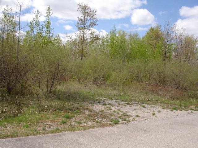 Buck Run Parcel 1 (1)