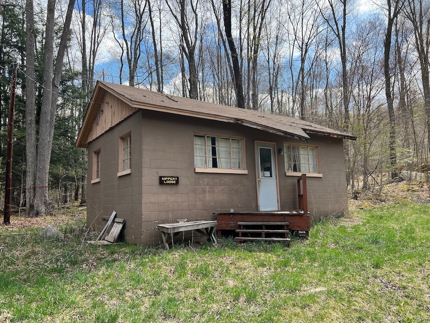 0 Bordell Rd unit LotWP006 17041600, Smethport, PA 16749 - photo 1