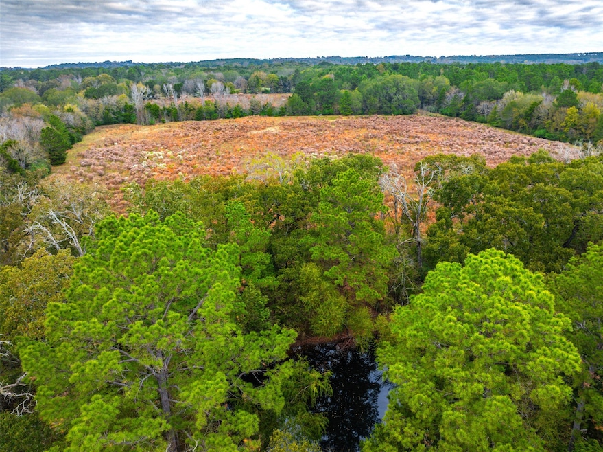 00 County Road 163, Elkhart, TX 75839 - photo 1