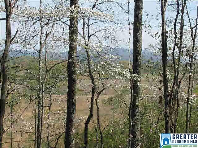 Beautiful view toward Cheaha and the Talladega Nat