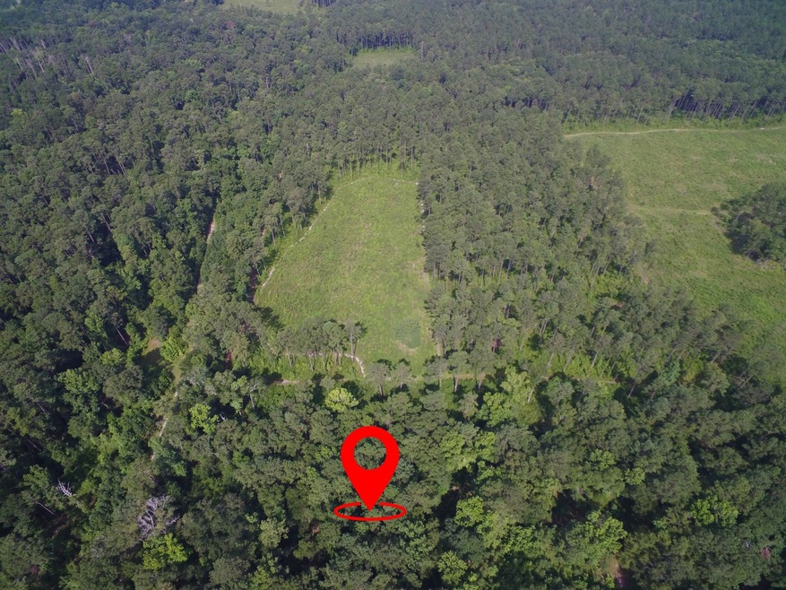 193 Northwood Ln, Crawfordville, FL 32327 - photo 1