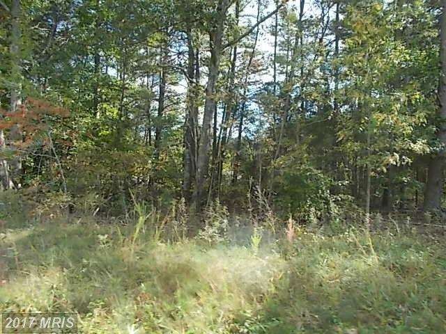 0 Shannon Hill Rd unit 1000547791, Louisa, VA 23093 - photo 1