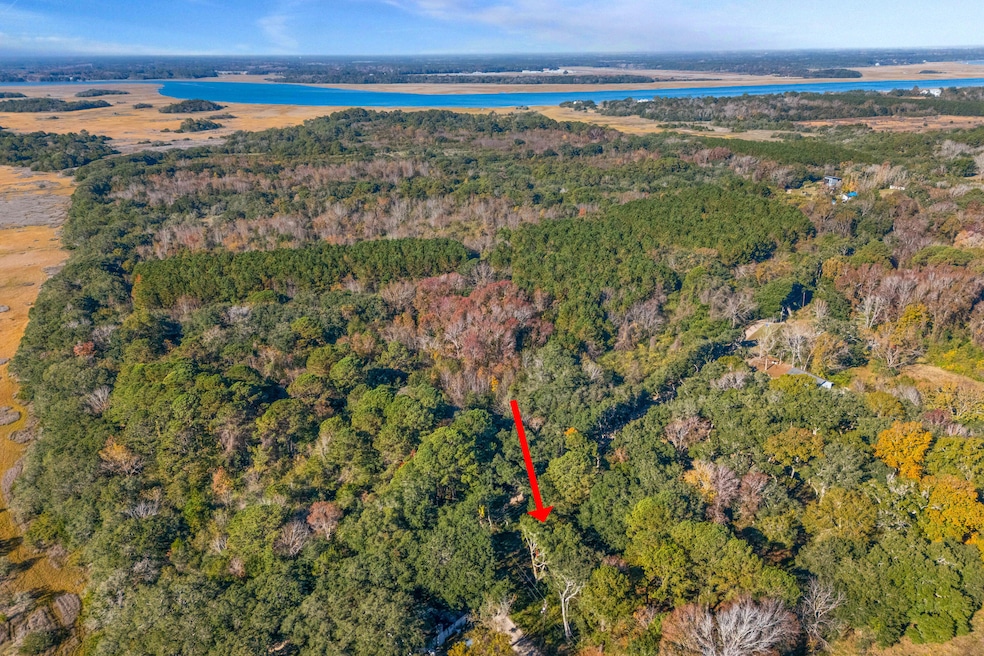 1872 Arsburn Rd, Charleston, SC 29412 - photo 1