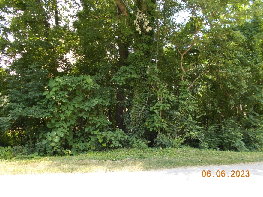 DSCN0782