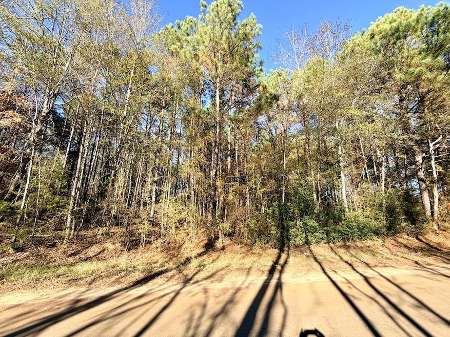 Tract No 1 County Road 3150, Deberry, TX 75639 - photo 1