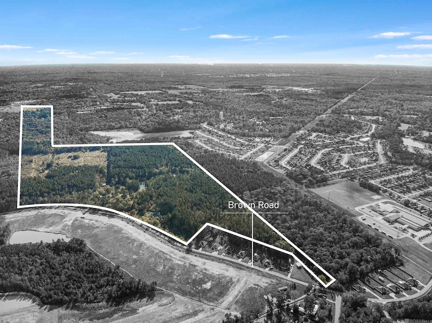 12850 Brown Rd, Denham Springs, LA 70726 - photo 1