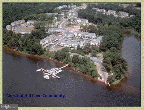 934 Chestnut Wood Ct, Chestnut Hill Cove, MD 21226 - photo 1