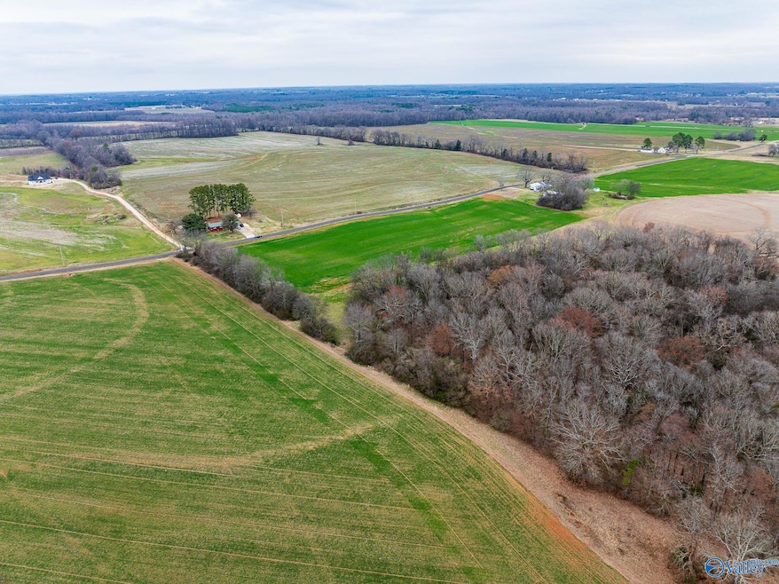 Lot 2 Mack Rd, Athens, AL 35611 - photo 1