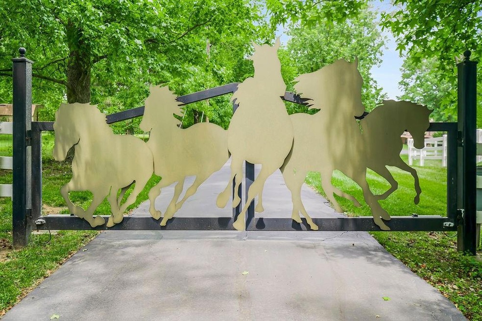 Carousel Image