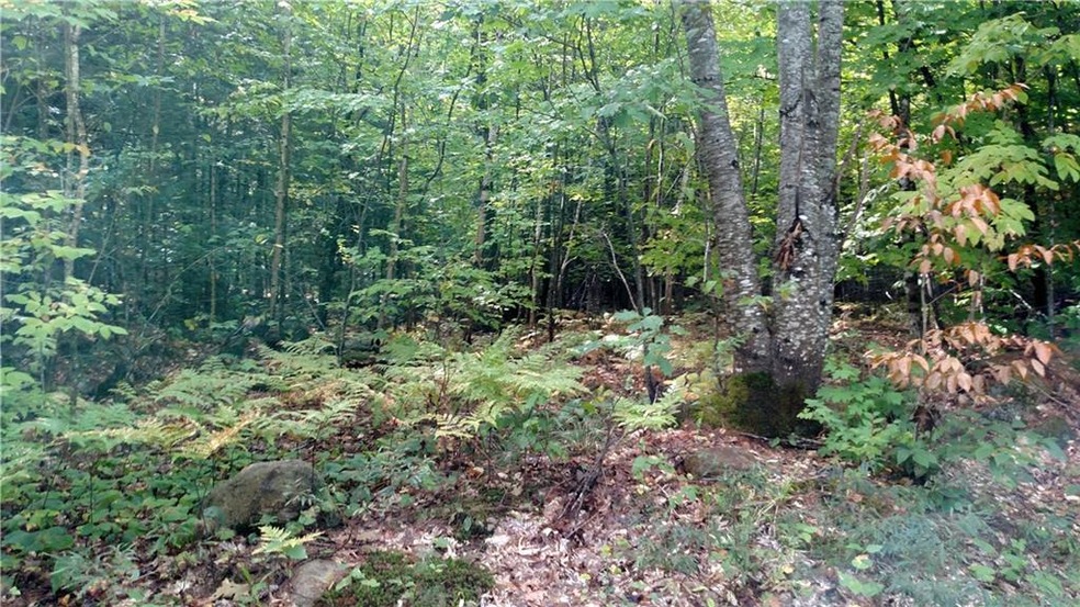 200 Kimball Rd, Bridgton, ME 04009 - photo 1