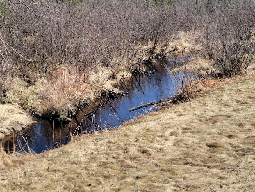 ON Luds Ln, Loretta, WI 54896 - photo 1