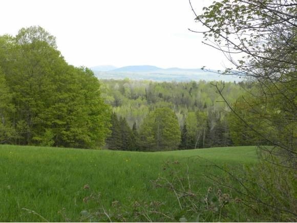 - Burton Hill Rd, West Glover, VT 05822 - photo 1
