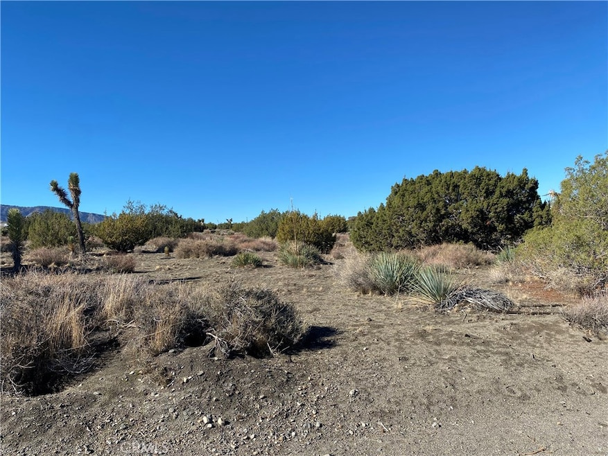 0 Nugget Rd, Phelan, CA 92371 - photo 1