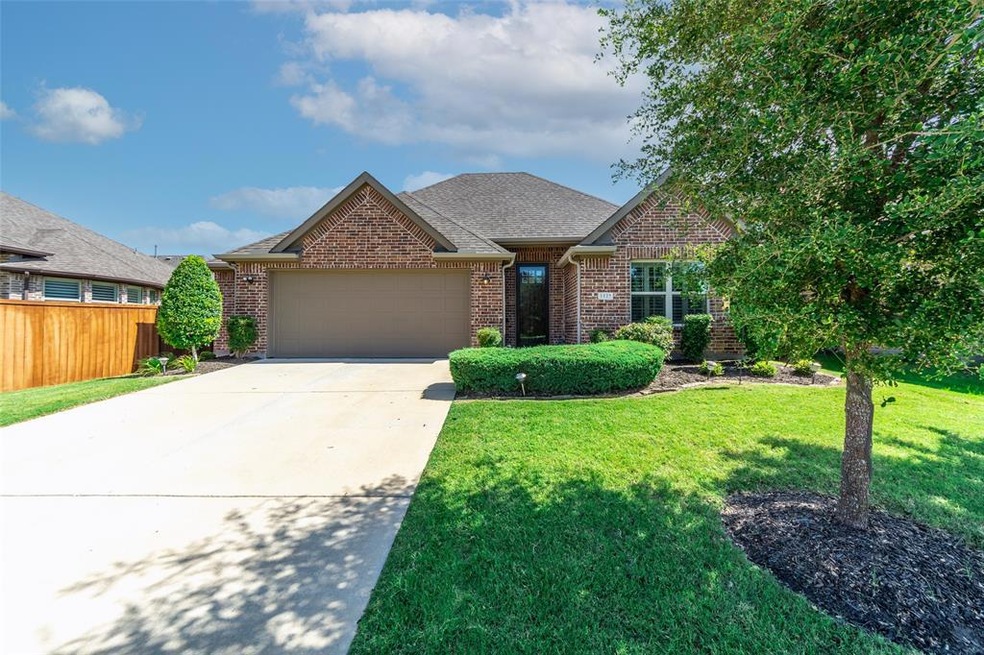1127 Hot Springs Way, Celina, TX 75009 - photo 1