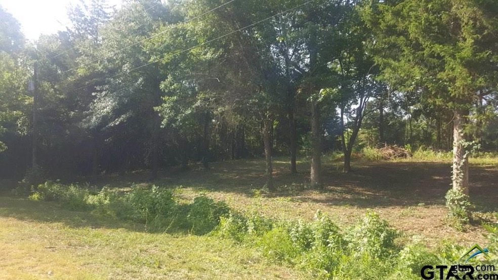 14044 Bent Trail, Tyler, TX 75707 - photo 1