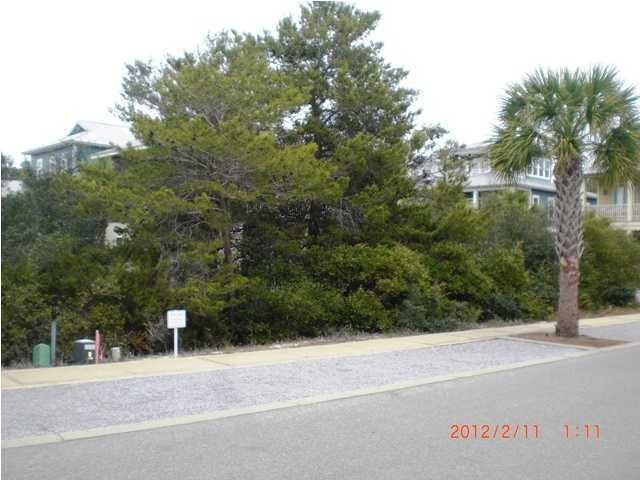 Primary Photo