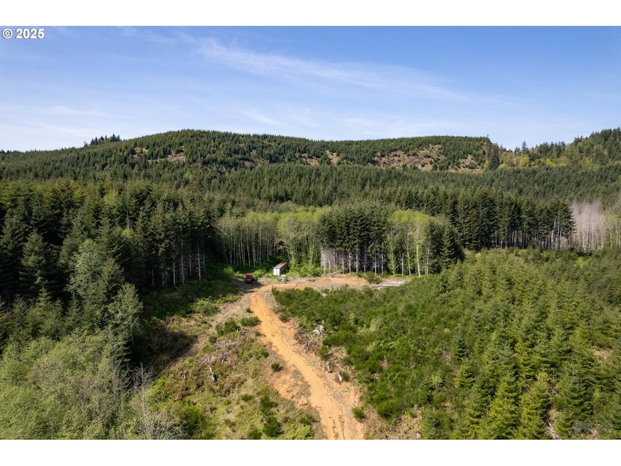 0 Conyers Creek unit 208773965, Clatskanie, OR 97016 - photo 1