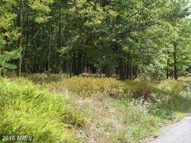 0 N Ridge Rd unit 1000213555, Mathias, WV 26812 - photo 1