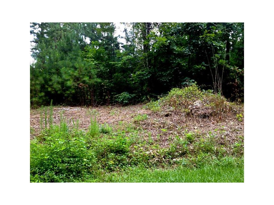 3062 Ridgeview Dr, Villa Rica, GA 30180 - photo 1