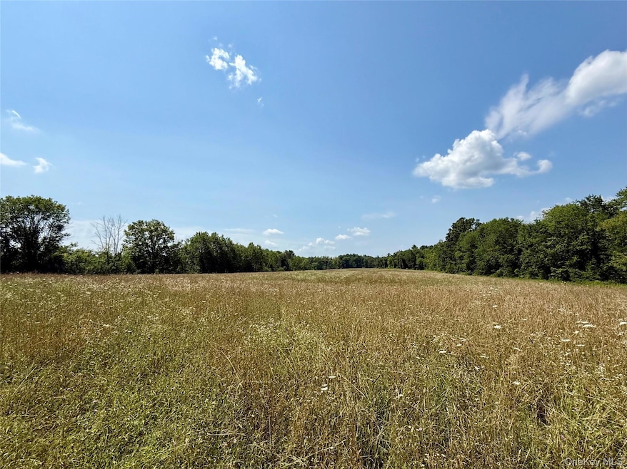 0 Shawangunk Rd unit KEY901472, Scotchtown, NY 10940 - photo 1